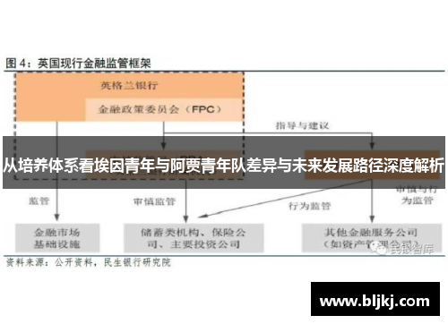 从培养体系看埃因青年与阿贾青年队差异与未来发展路径深度解析